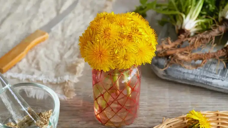  5 izgalmas dolog, amit pitypangból készíthetsz 