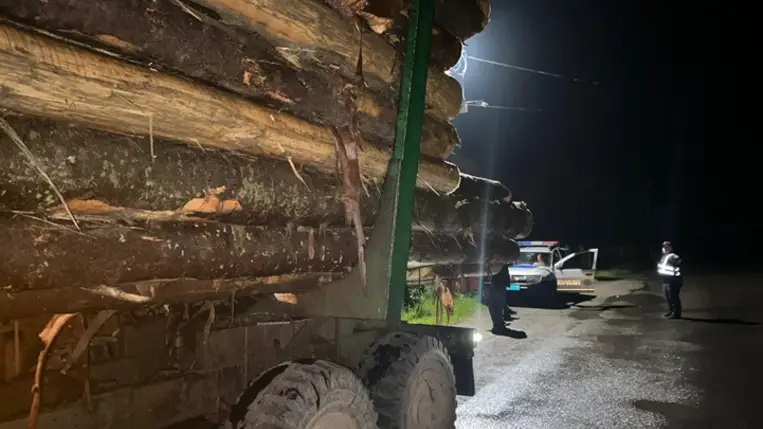 A técsői járásban a rendőrök lefoglaltak egy teherautót és 30 köbméter illegális rönkfát. Fotó: Kárpátaljai Rendőrség