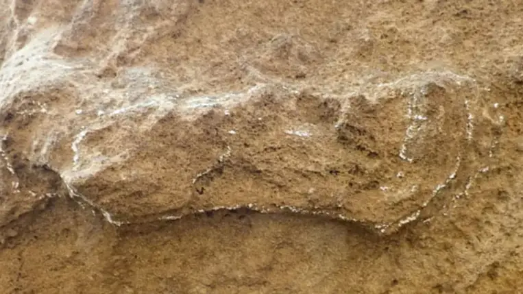A világ legrégebbi ismert emberi lábnyomát azonosíthatták Dél-Afrikában