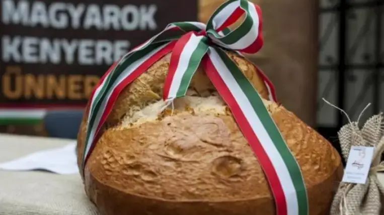 Magyarok Kenyere – 15 millió búzaszem program