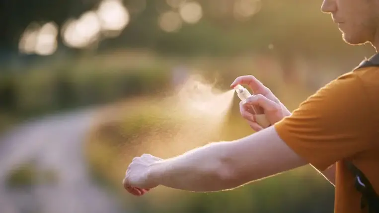 Így tarthatjuk távol a szúnyogokat