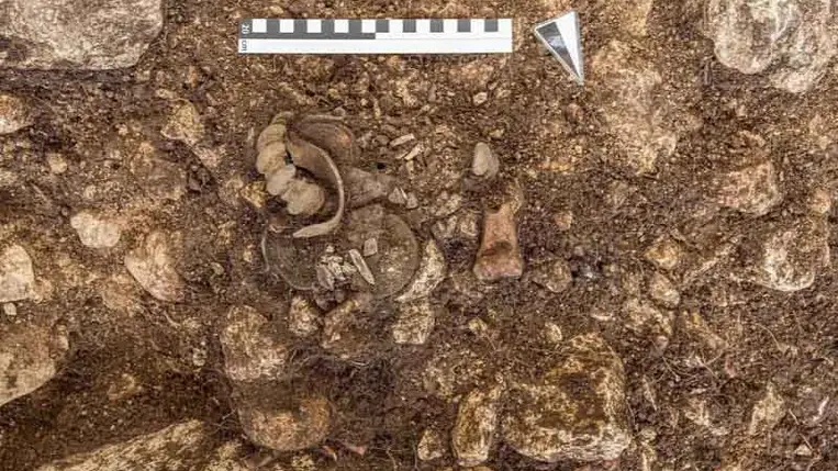 Így temetkezett a vaskori elit Hallstattban