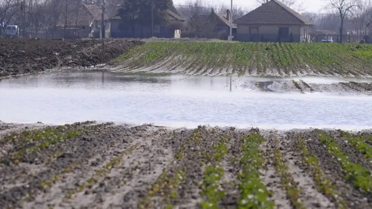 Készüljünk fel rá idejében! - A magas talajvíz elleni védekezésről