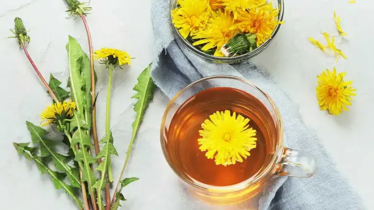  Ilyen csodás a testednek, ha gyakran iszol pitypang teát 