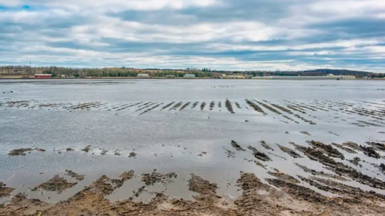 Egyre nagyobb gondot okoz a belvíz