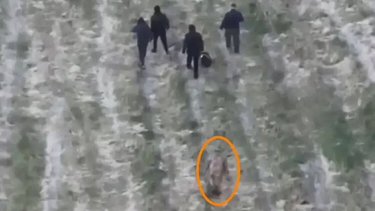 Katonaruhás kísérettel szökött át a határon Dédánál egy csoport férfi. Részlet a videóból