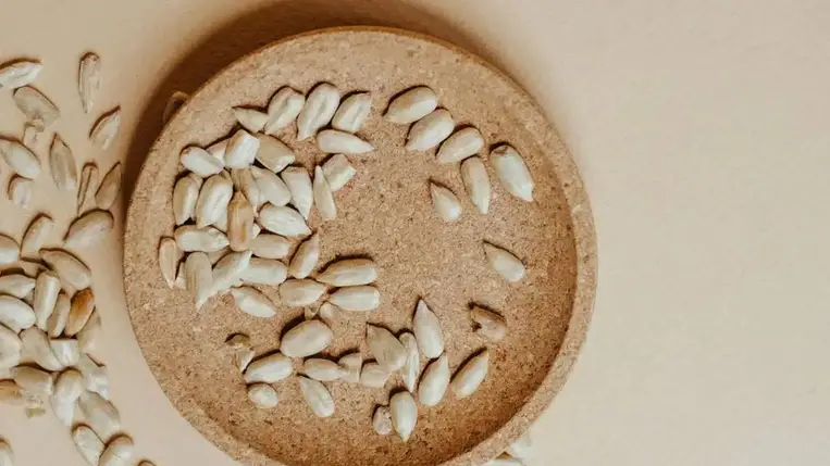  Csak egy zacskó szotyi? A napraforgómag egészségesebb, mint hinnéd 