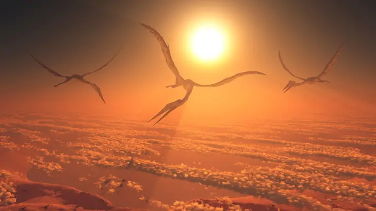 Új pteroszauruszfaj csontjait találták meg Ausztráliában