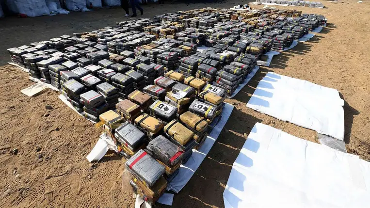 A holland hatóságok banánszállítmányba rejtett rekordmennyiségű kokaint foglaltak le