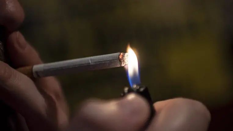 ENSZ: Európában évente 2,7 millió ember haláláért felelős négy ipari ágazat, köztük a dohány- és az alkoholtermelés