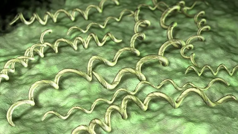 Terjed egy veszélyes kór, rémes betegségeket okoz 