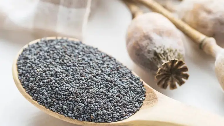 6 okot is mondjunk, amiért több mákot kell enned 