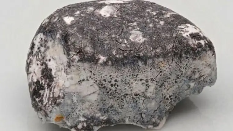 Négy és fél milliárd éves a Berlin mellett talált záptojásszagú meteorit 