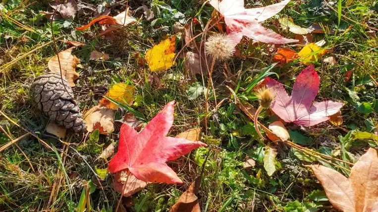 Tíz tipp ahhoz, hogy egészségesen átvészeljük az őszi szezont 