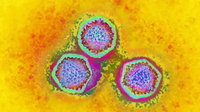 50.000 éves neandervölgyi csontok rejtegetik a legrégibb ismert emberi vírusokat 