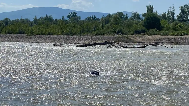 Újabb holttestet fedeztek fel a határőrök a Tisza folyóban. Illusztráció. Fotó: Ukrán Állami Határőrszolgálat