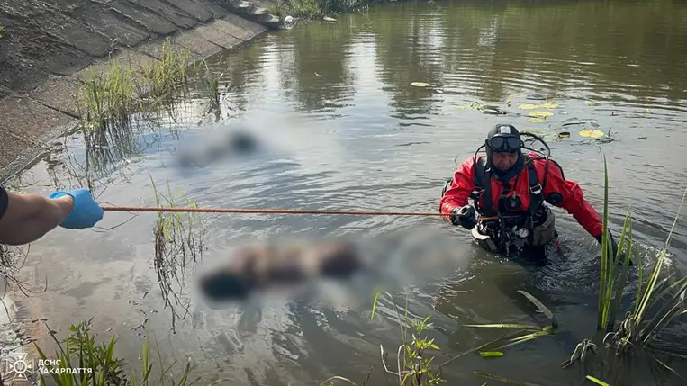 Két 10-12 éves kislány fulladt a vízbe a Beregszászi járásban található Bótrágyon. Fotó: DSZNSZ