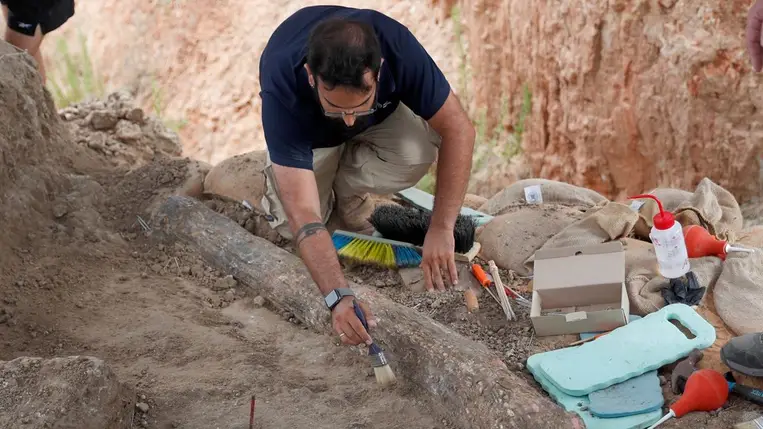 Elképesztő régészeti felfedezést tettek Lengyelországban. Illusztráció (Fotó: MTI/EPA/Atef Szafadi)