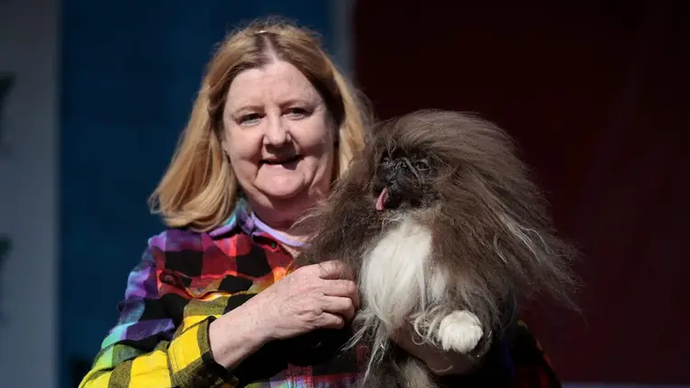 5+1 meghökkentő hír 2024-ből