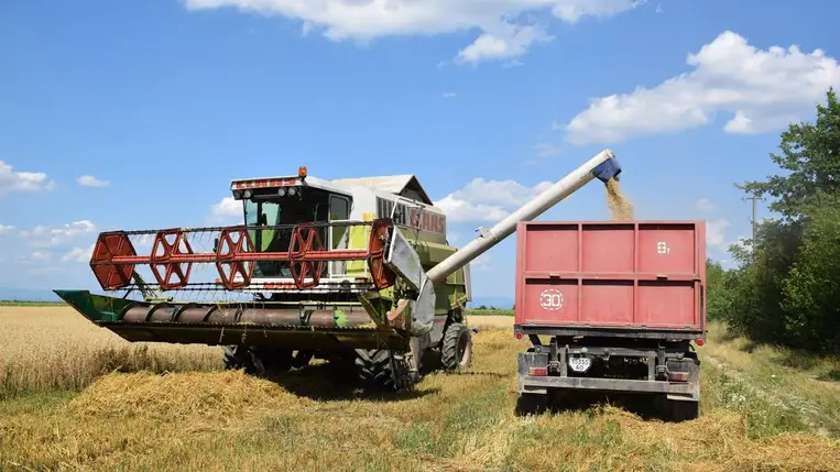 Aratás 2025. Még tart a búza betakarítása, megkezdődött a tarlóhántás - Magas áron veszik a terményt. Fotó: Kárpátinfó/ Kovács Elemér
