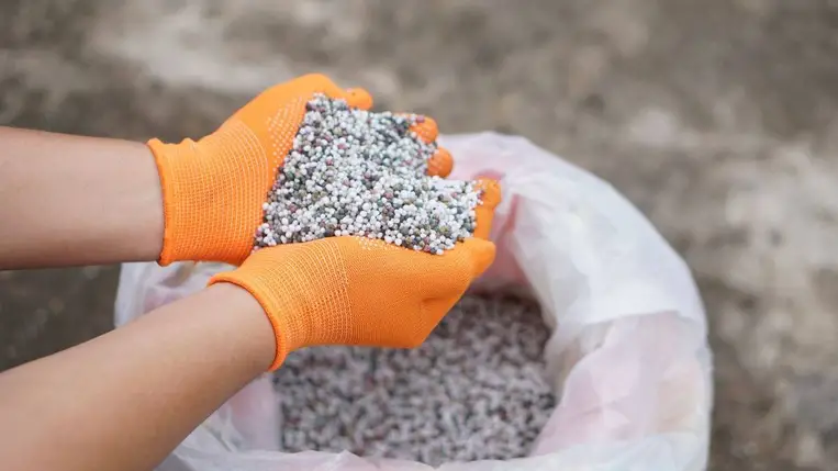 A biológiai termésnövelők forgalma még csak töredékét éri el a műtrágyáéknak / Fotó: Shutterstock