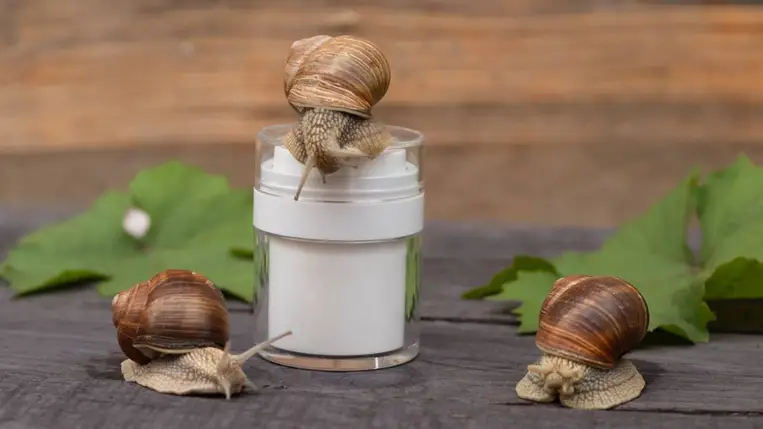 Csökkenti a finom ráncokat, és az egyik legjobb hidratáló a csiganyálka