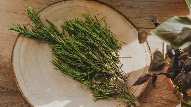 Dúsabb haj, szebb bőr, illatos ruhák: így készíts rozmaringvizet otthon 