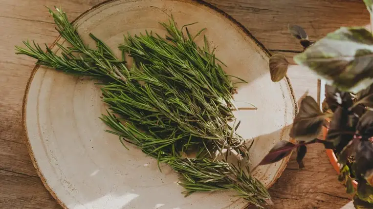 Dúsabb haj, szebb bőr, illatos ruhák: így készíts rozmaringvizet otthon