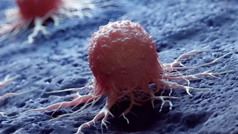 Eddig a legrákkeltőbb ételnek gondolták, most azt állítják, véd a betegség ellen