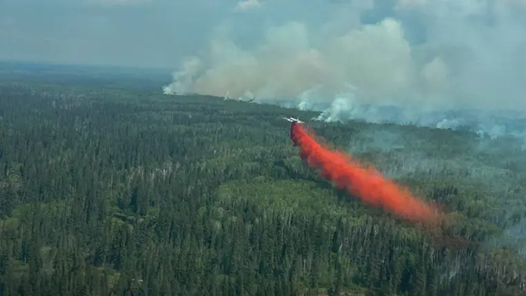 Erdőtűz Alberta államban, Kanadában 2025. június 2-án Fotó: Alberta Wildfire / Handout / Reuters