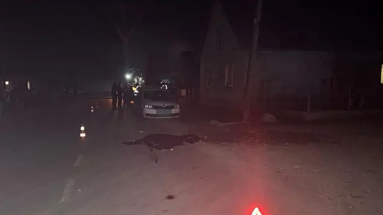 A perecseni rendőrség vizsgálja a baleset körülményeit, amelyben egy 59 éves gyalogos életét vesztette. Fotó: Nemzeti Rendőrség