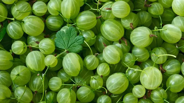 Halványítja a foltokat, természetes hámlasztó, és a legtöbb kertben ott van