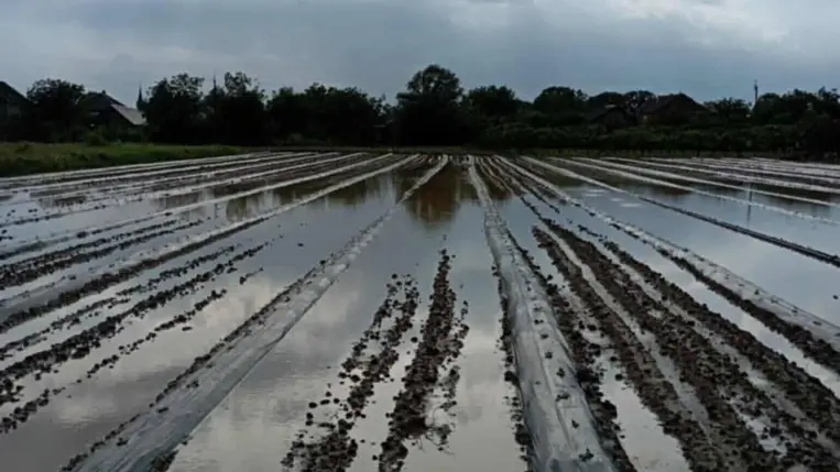 Hatékonyan csak megelőzni lehet!!! - A magas talajvíz (belvíz) elleni védekezésről