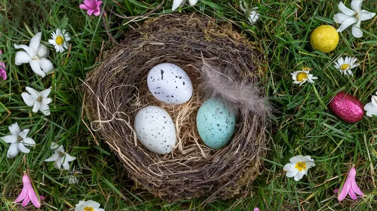 A húsvét veszélye – nem csak a húsvéti nyuszi ajándékai bújhatnak meg a fűben 