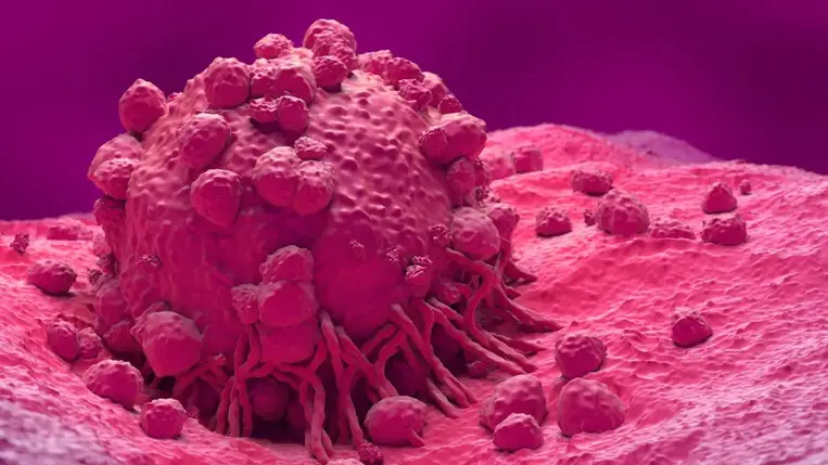 Megtalálhatták a bőrrák ellenszerét: ha ezt a vitamint szedi, védve lehet. Illusztráció. Fotó: Internet