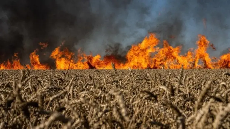 A háború miatt bekövetkezett környezeti károk értéke több tízmillió dollárra rúg