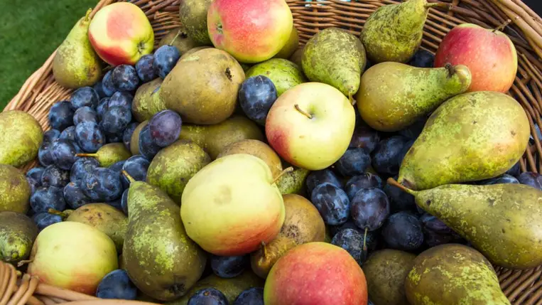 Itt a szezonja: ezek az őszi gyümölcsök turbózzák fel legjobban az immunrendszeredet