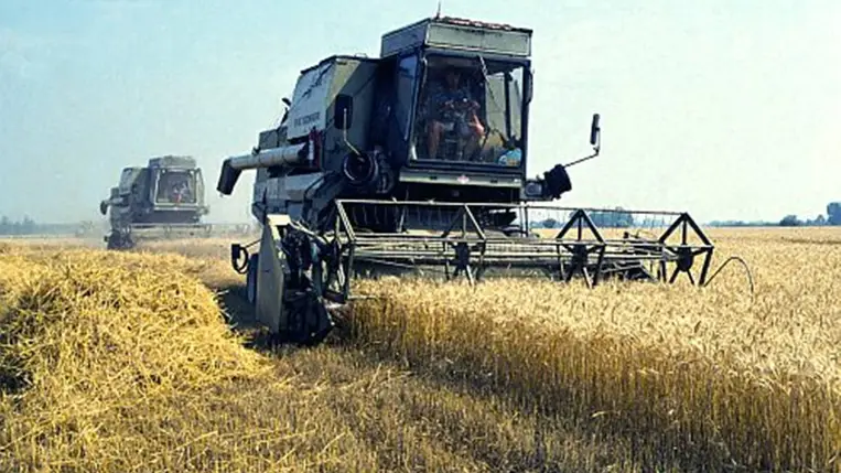 Megkezdődött az aratás