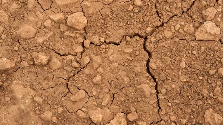 Meglepő módszer találtak fel a súlyos aszály ellen. Illusztráció. Fotó: Internet