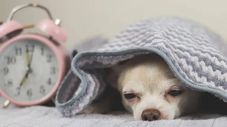 Óraátállítás 2025: kezdődik a téli időszámítás. Illusztráció. Fotó: Internet