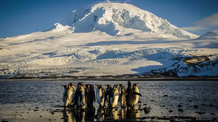 Trump vámjai elérték az Antarktisz lakatlan szigeteit is – ahol csak pingvinek élnek