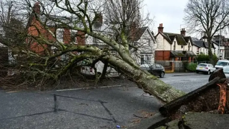 Svédországban már több halálos áldozata van a heves időjárásnak. Fotó: X.com