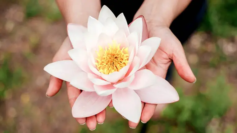 Tényleg segít a menstruációs görcsökön a jónigőzölés? 