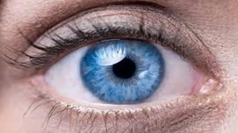 Új áttörés a látás helyreállításában: kifejlesztettek egy gyógyszert, amely visszafordíthatja a vakságot
