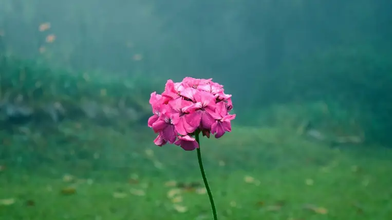 Változást munkálni. Illusztráció. Fotó: Internet