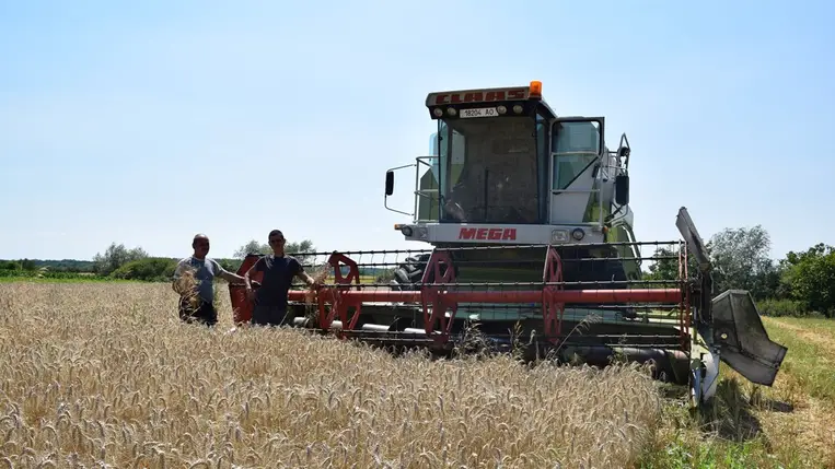 Aratás – 2024 - A kevesebb most több. Fotó: Kárpátinfo/Kovács Elemér