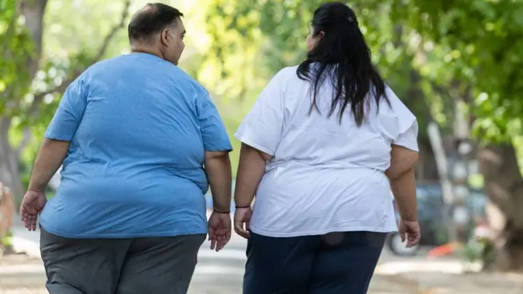 Elhízás. Illusztráció. Fotó: Shutterstock.com