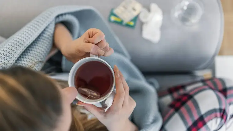 Ezek a gyógynövények a legmakacsabb megfázást is elűzik