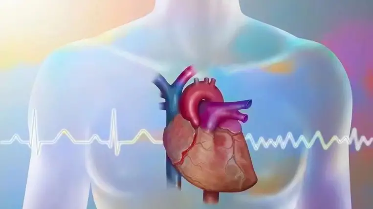 Nem kell műtét? Egyetlen injekció segítheti a szív gyógyulását