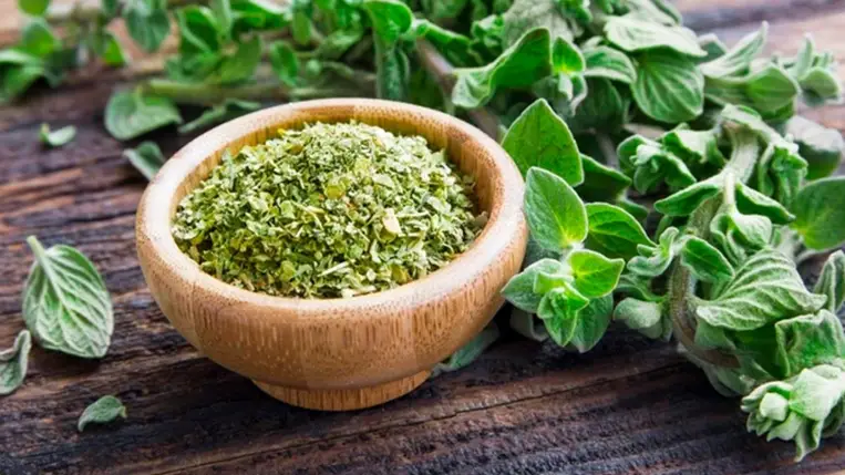 Így gyógyít a szurokfű: nem csak az emésztést támogatja